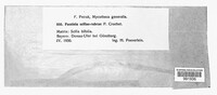 Puccinia scillae-rubrae image